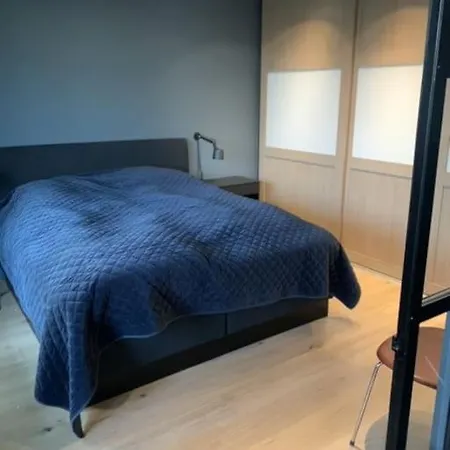 Leilighet Pen Og Stor Ved Sentrum